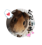 可愛い毎日♪（個別スタンプ：7）