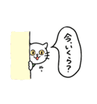 花屋てまりちゃんの業務連絡スタンプ（個別スタンプ：23）