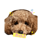 A-K（個別スタンプ：1）