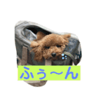 A-K（個別スタンプ：3）
