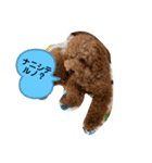 A-K（個別スタンプ：6）