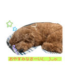 A-K（個別スタンプ：7）