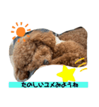 A-K（個別スタンプ：8）