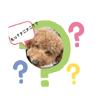 A-K（個別スタンプ：9）