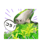 A-K（個別スタンプ：12）