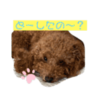 A-K（個別スタンプ：14）