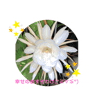 A-K（個別スタンプ：15）
