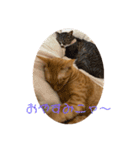 Tetu and Hana3（個別スタンプ：5）