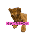 Tetu and Hana3（個別スタンプ：8）