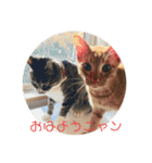 Tetu and Hana3（個別スタンプ：18）