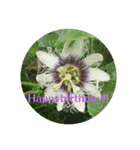 Happybirthday2 by lycheevillage（個別スタンプ：2）