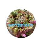 Happybirthday2 by lycheevillage（個別スタンプ：3）