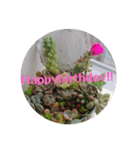 Happybirthday2 by lycheevillage（個別スタンプ：7）