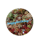Happybirthday2 by lycheevillage（個別スタンプ：8）