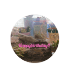 lycheevillage happybirthday1（個別スタンプ：1）