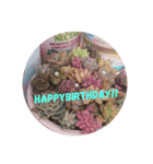 lycheevillage happybirthday1（個別スタンプ：2）