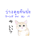 タイ語ニャンズ  4（個別スタンプ：10）