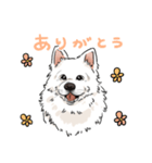 サモエド「パセポン」 第一弾（個別スタンプ：2）