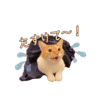 りゃんてスタンプ2（個別スタンプ：21）