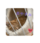RIRI517（個別スタンプ：6）