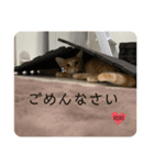 RIRI517（個別スタンプ：8）