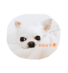 momoちゃんスタンプ♡（個別スタンプ：7）