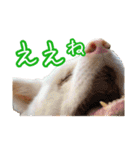 めはまどchannel（個別スタンプ：2）