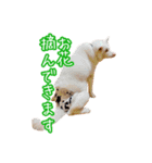 めはまどchannel（個別スタンプ：7）