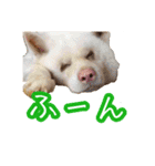 めはまどchannel（個別スタンプ：8）