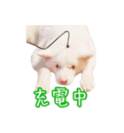 めはまどchannel（個別スタンプ：11）