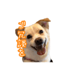 めはまどchannel（個別スタンプ：13）