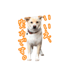 めはまどchannel（個別スタンプ：21）