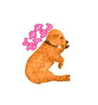 めはまどchannel（個別スタンプ：22）