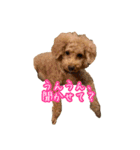 めはまどchannel（個別スタンプ：25）