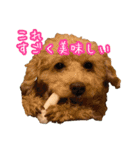 めはまどchannel（個別スタンプ：27）