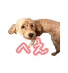 めはまどchannel（個別スタンプ：30）