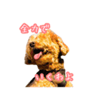 めはまどchannel（個別スタンプ：31）