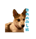 めはまどchannel（個別スタンプ：32）