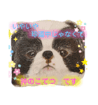 お友達ワンコ大集合2（個別スタンプ：2）