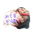ひよまるスタンプ(時々兄)（個別スタンプ：4）