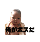 ひよまるスタンプ(時々兄)（個別スタンプ：13）