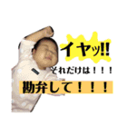 ひよまるスタンプ(時々兄)（個別スタンプ：15）