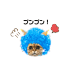 ペルシャ猫兄弟 ピョルとパール（個別スタンプ：22）