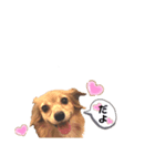 Love♡ちゃんたち♪（個別スタンプ：1）