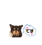Love♡ちゃんたち♪（個別スタンプ：2）