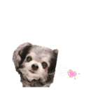 Love♡ちゃんたち♪（個別スタンプ：4）