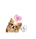 Love♡ちゃんたち♪（個別スタンプ：7）