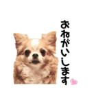 Love♡ちゃんたち♪（個別スタンプ：8）