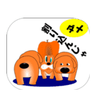 子犬と友達（個別スタンプ：23）