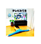 みよひワールド六本木（個別スタンプ：38）